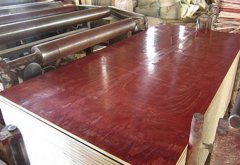 廣西模板木模板