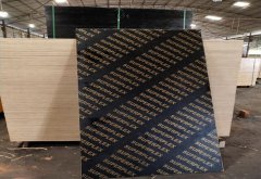 廣西清水覆膜模板