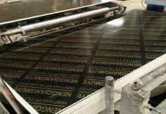 廣西清水覆膜模板