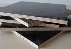 廣西覆膜模板哪里好