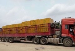 廣西模板清水模板暢銷全國，拉薩一車