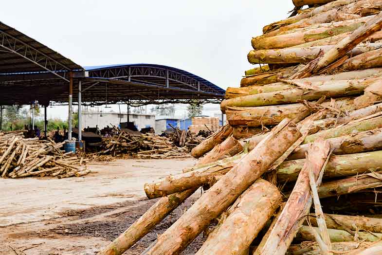 荷嘉木業(yè)木模板原材