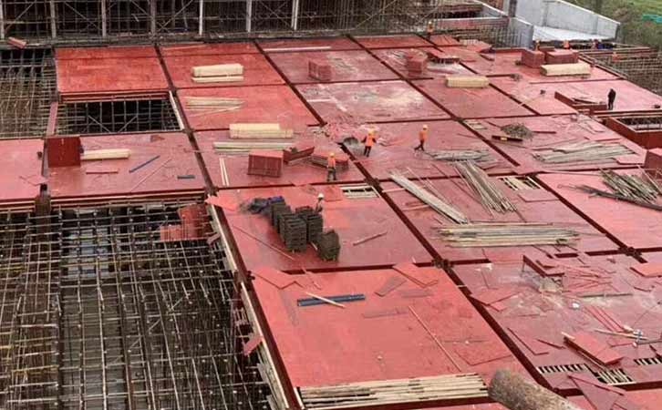 客戶對于荷嘉桉樹板質量使用后好評